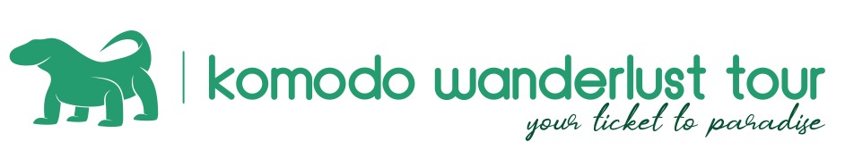 Company E logo